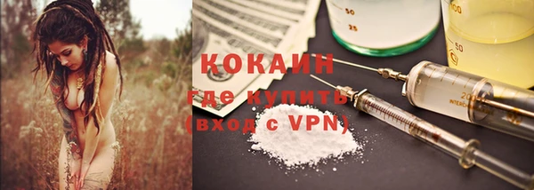 ГАЛЛЮЦИНОГЕННЫЕ ГРИБЫ Богданович