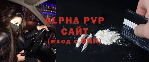ГАЛЛЮЦИНОГЕННЫЕ ГРИБЫ Богданович