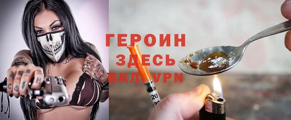 ГАЛЛЮЦИНОГЕННЫЕ ГРИБЫ Богданович