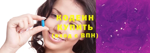 ГАЛЛЮЦИНОГЕННЫЕ ГРИБЫ Богданович