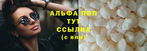 ГАЛЛЮЦИНОГЕННЫЕ ГРИБЫ Богданович