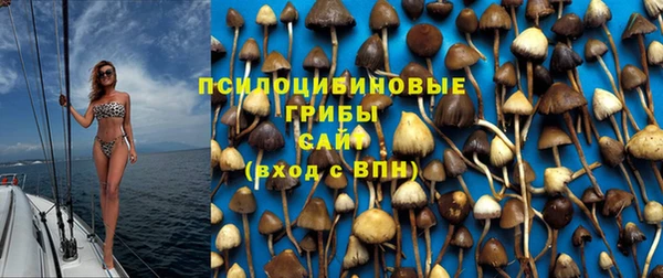 ГАЛЛЮЦИНОГЕННЫЕ ГРИБЫ Богданович