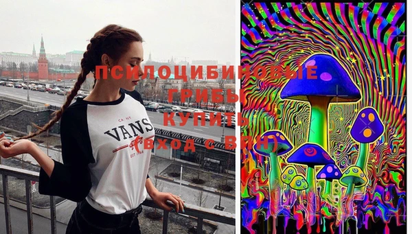 эйфоретик Богородицк