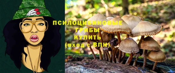 эйфоретик Богородицк