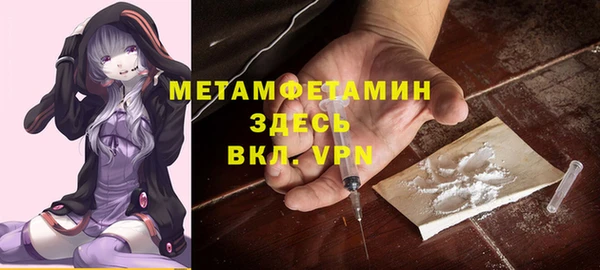 ГАЛЛЮЦИНОГЕННЫЕ ГРИБЫ Богданович
