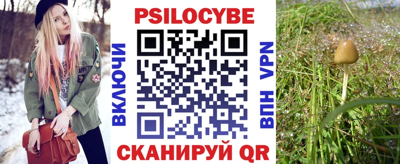 Галлюциногенные грибы прущие грибы  купить наркотики цена  Краснознаменск 